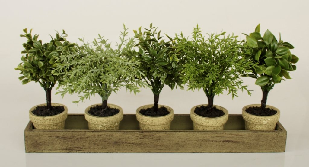 5 SMALL PLANTS IN WOOD TRAY  20X45CM